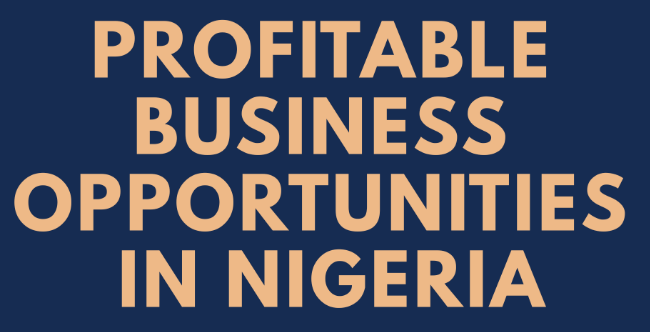 25 Profitable Daily Income Businesses in Nigeria and Starting Cost (2023)